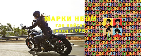 твердый Чегем