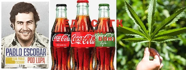 твердый Чегем